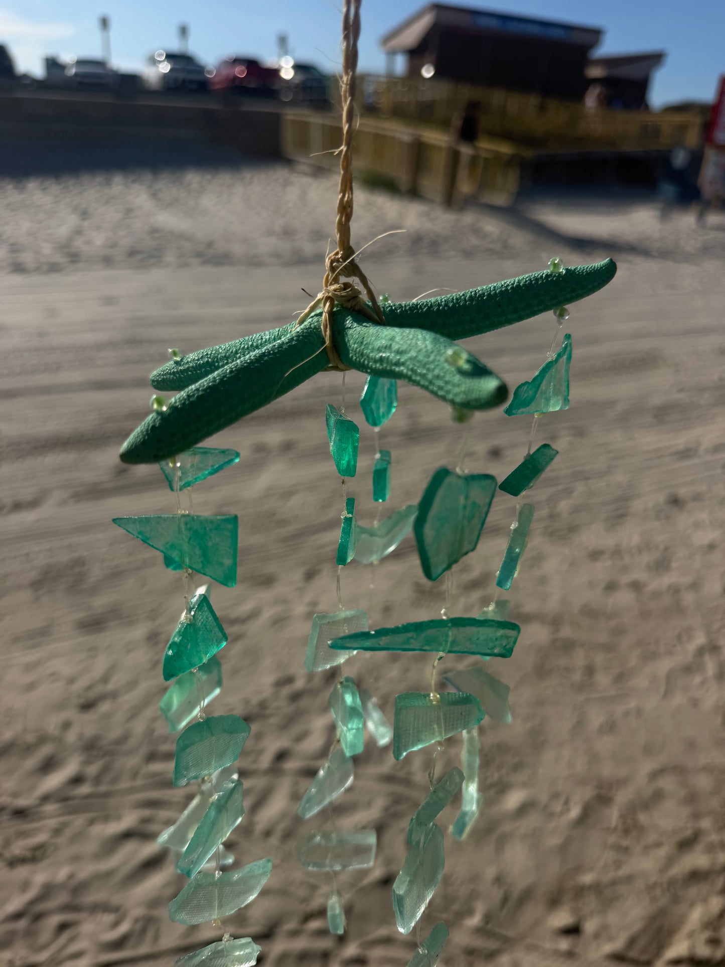 Green mint starfish with seaglass