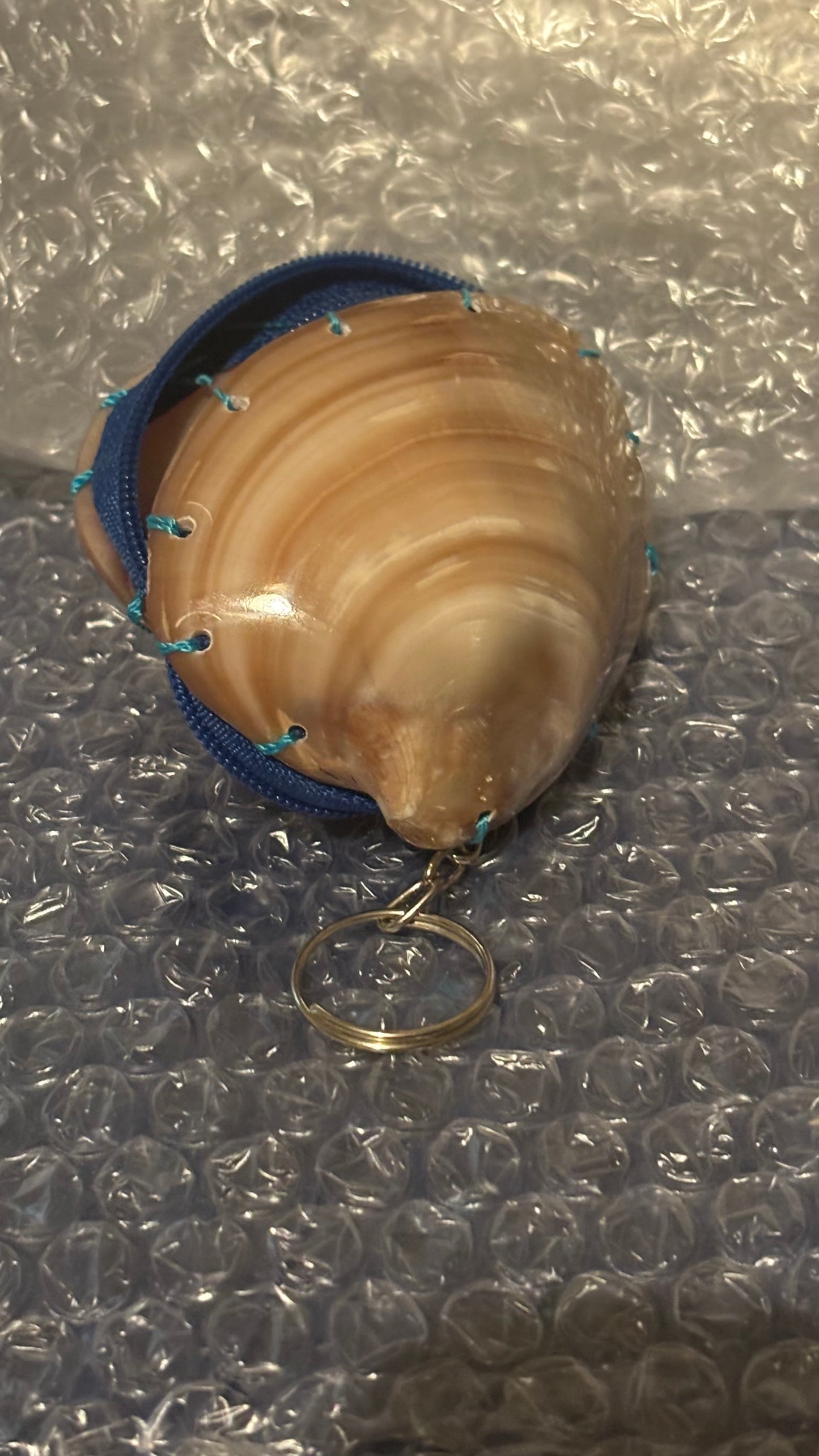 Polished Clam Coin Pouch Keychain