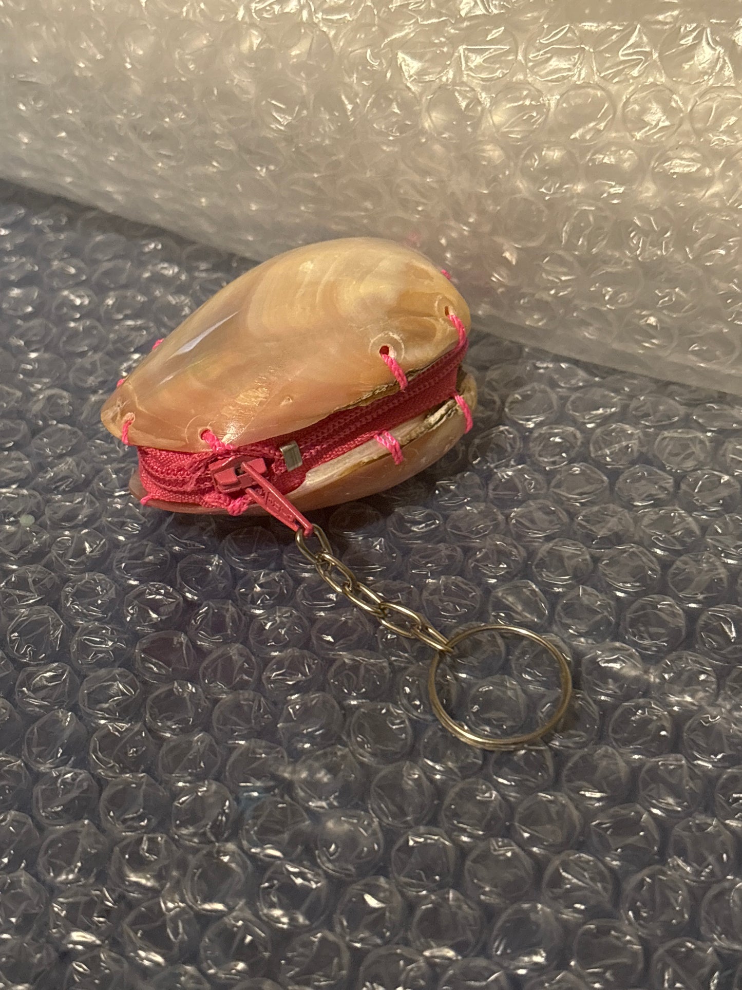 Polished Clam Coin Pouch keychain