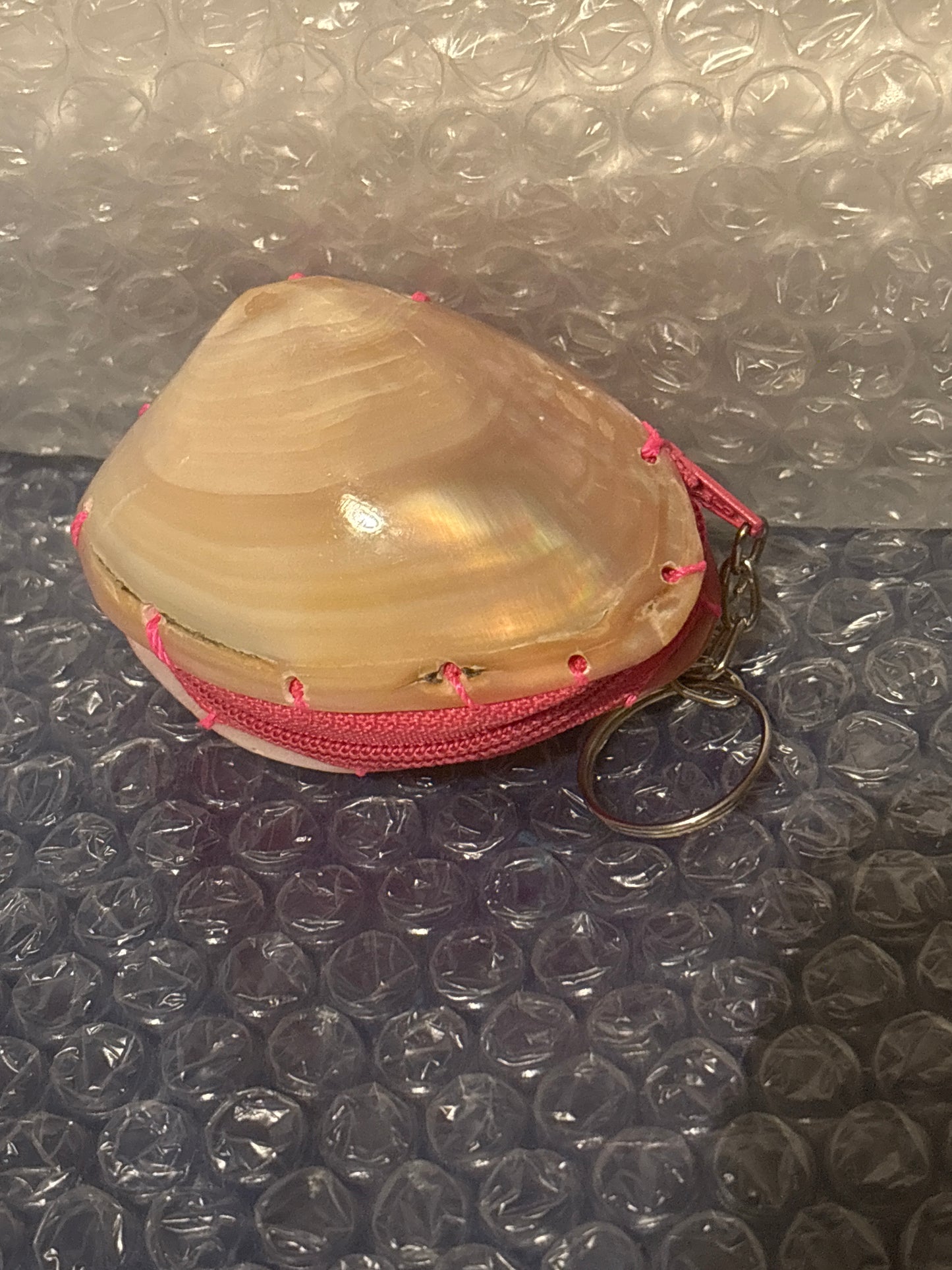 Polished Clam Coin Pouch keychain