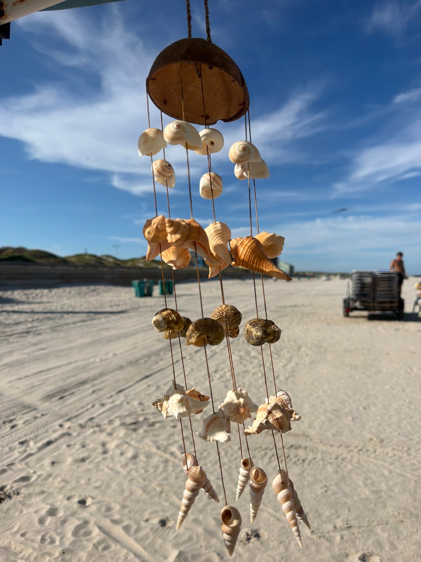 Coconut Top with seashells windchime