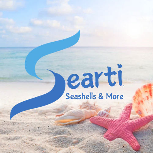 Searti Seashells & More