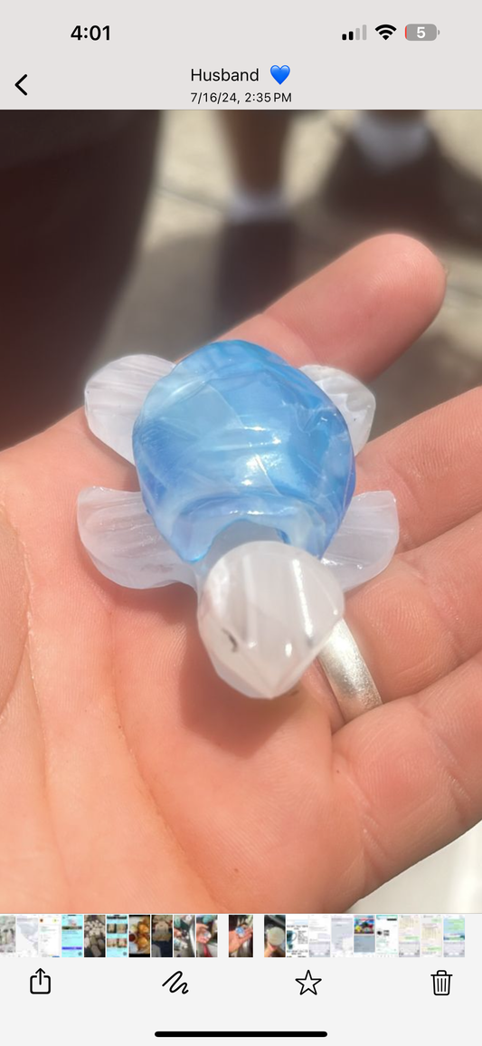 Onyx Lightblue Turtle